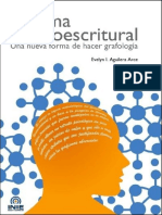 Sistema Neuroescritural PDF