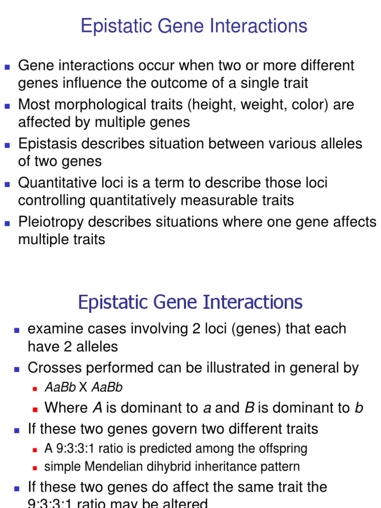 Epistatic Gene Interactions | Download Free PDF | Epistasis ...