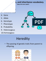 Реферат: Meiosis Vs Meitosis Essay Research Paper More