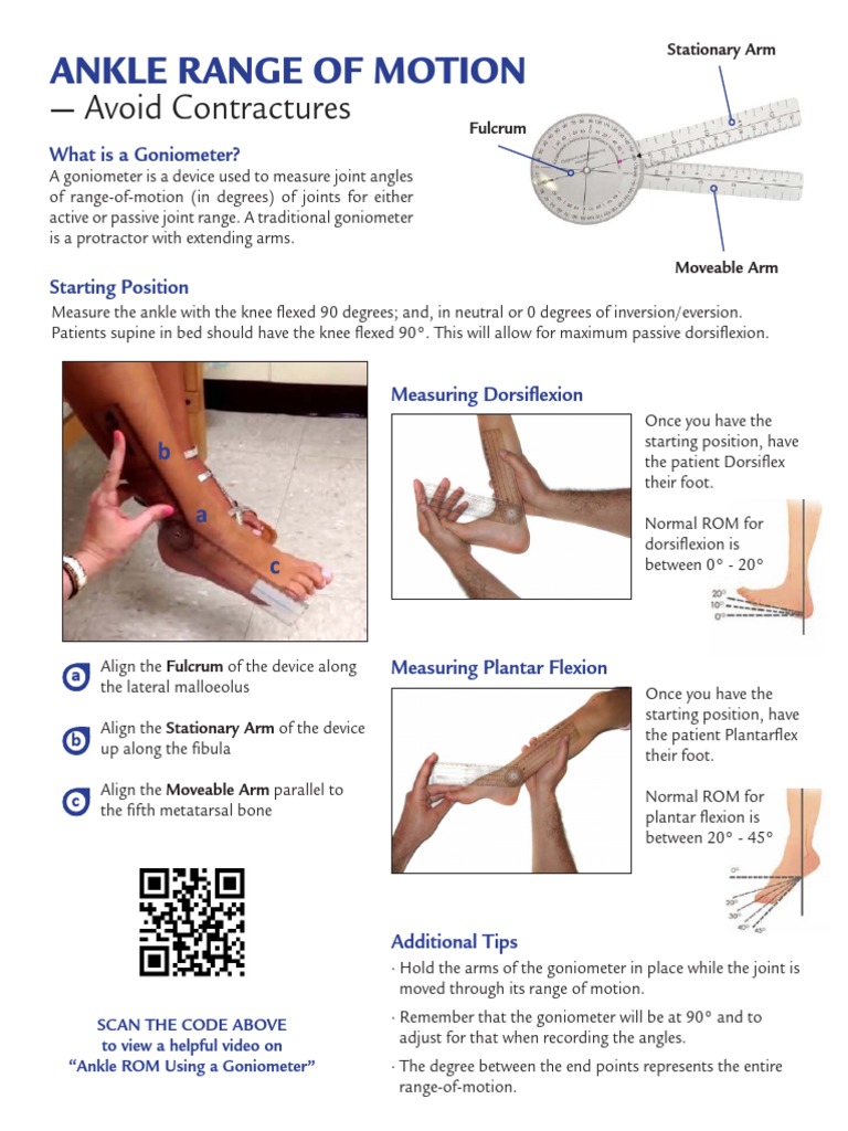 Ankle Goni Ometer Anatomical Terms Of Motion Foot