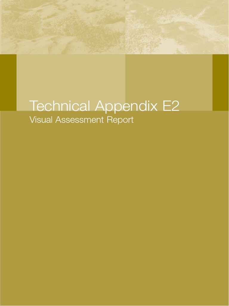 E2 Visual Assessment Report | PDF | Pipeline Transport | Coast