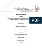 Ensayo Regulación Urbana y Ambiental