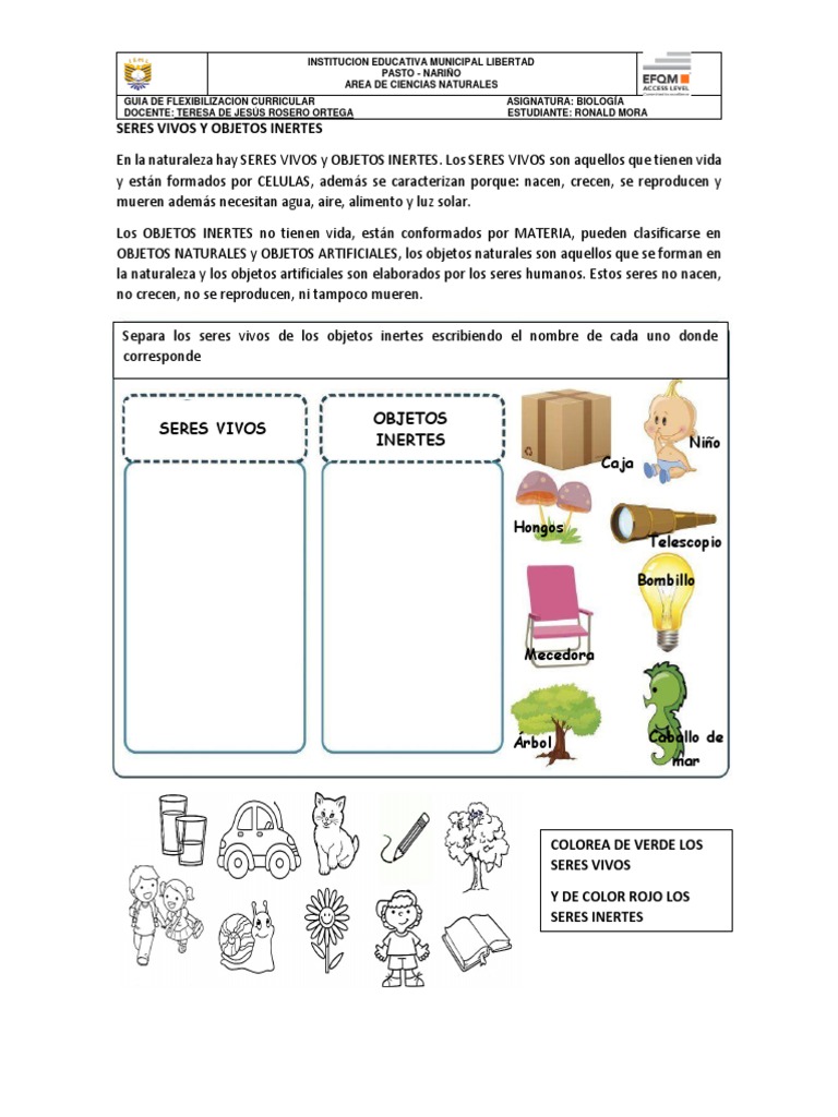 Seres Vivos y Objetos Inertes para Niños | PDF