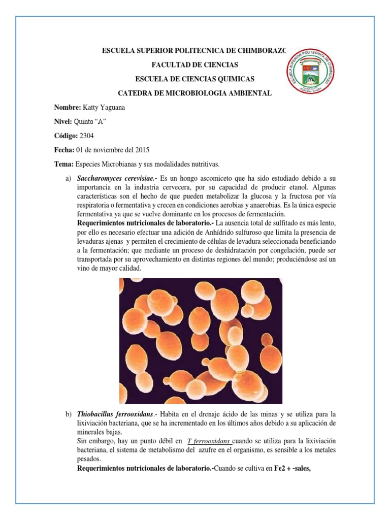 Especies Microbianas y Nutrición | PDF | Las bacterias | Fotosíntesis