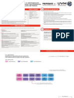 M Administracion de Negocios Con Orientacion en Direccion de Talento Mba Plan - de - Estudios PDF