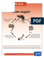 mosquitolifecyclefinal.pdf
