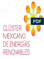01 Cluster Mexicano de ER Ing. Vicente Estrada