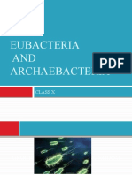 Eubacteria AND Archaebacteria: Class X