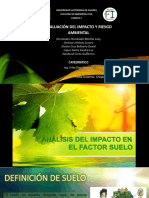 Analisis Del Impacto en El Factor Suelo