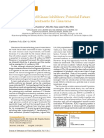 Rho Associated Kinase Inhibitors: Potential Future Treatments For Glaucoma