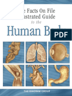 Human Body - Heart and Circulatory System PDF