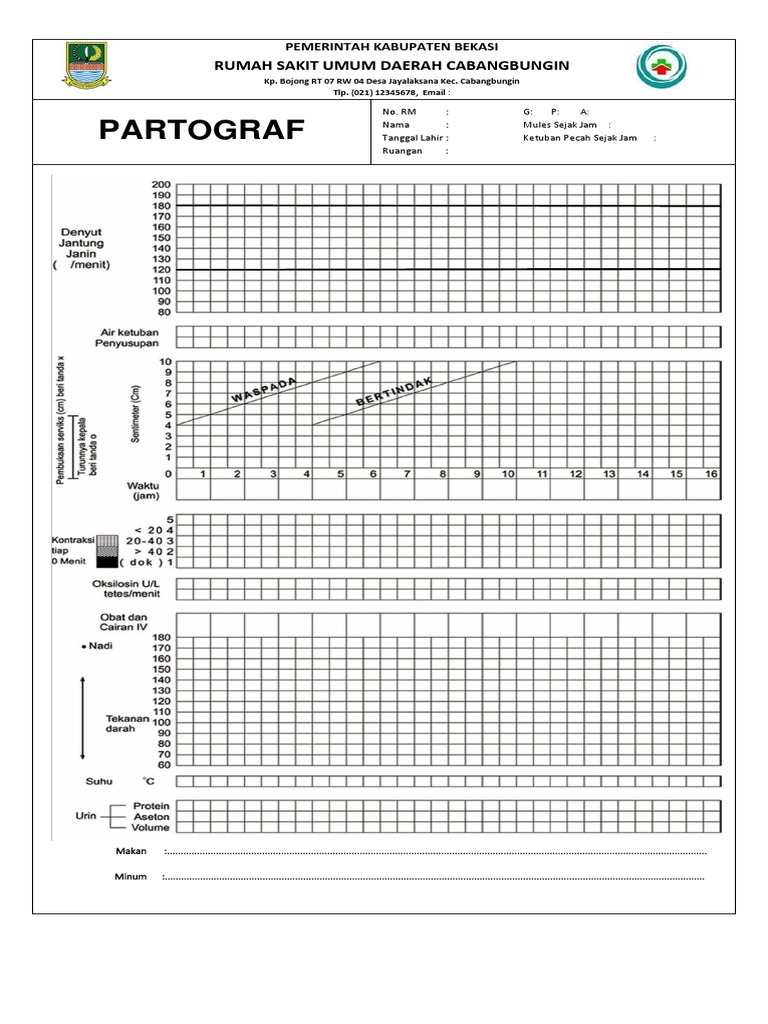 Format Partograf Persalinan Terbaru | PDF