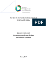 proceso_de_transformacion_curricular_orientaciones.pdf