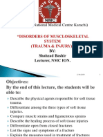 Muscloskeletal System (Disorders) .