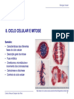 3207985-O-Ciclo-Celular.pdf