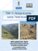 Tema13 PDF