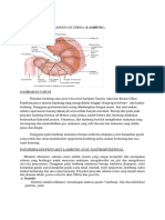 DIET PENYAKIT DANGANGGUAN CERNA LAMBUNG.docx