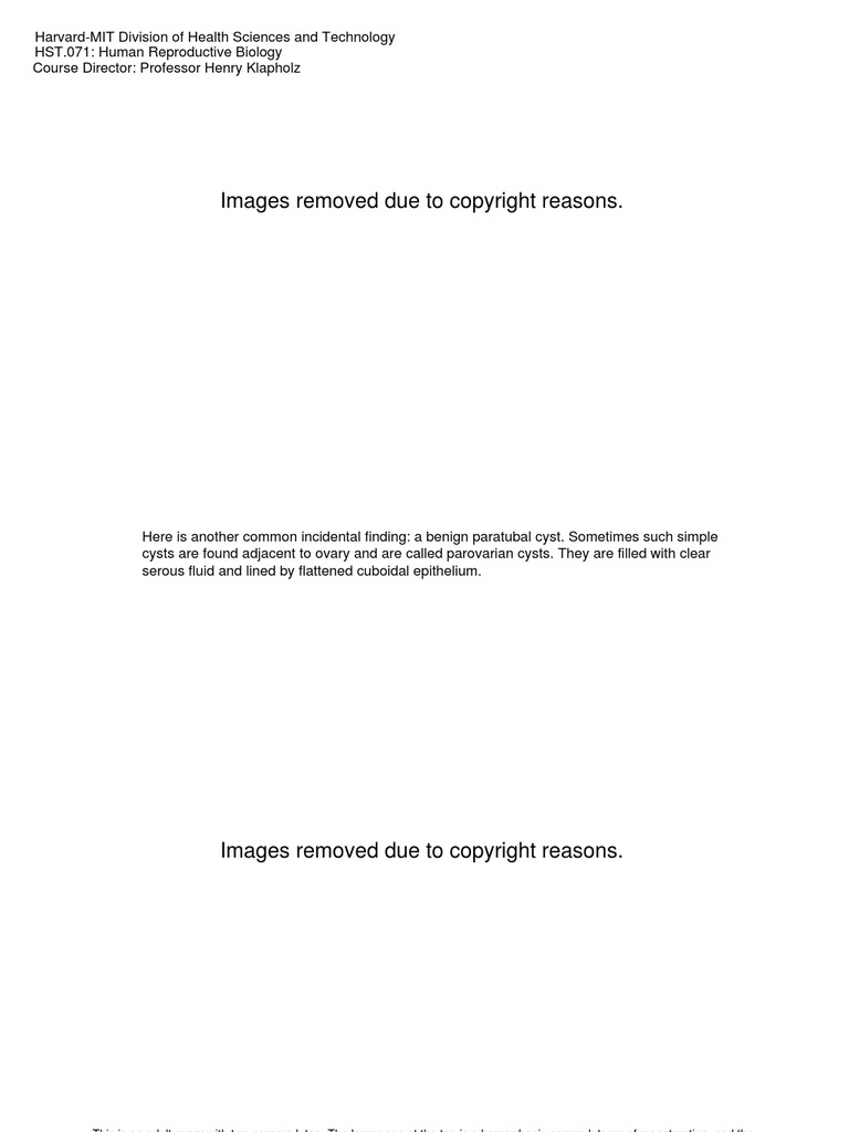Ovarian Tumors | PDF | Ovarian Cancer | Metastasis