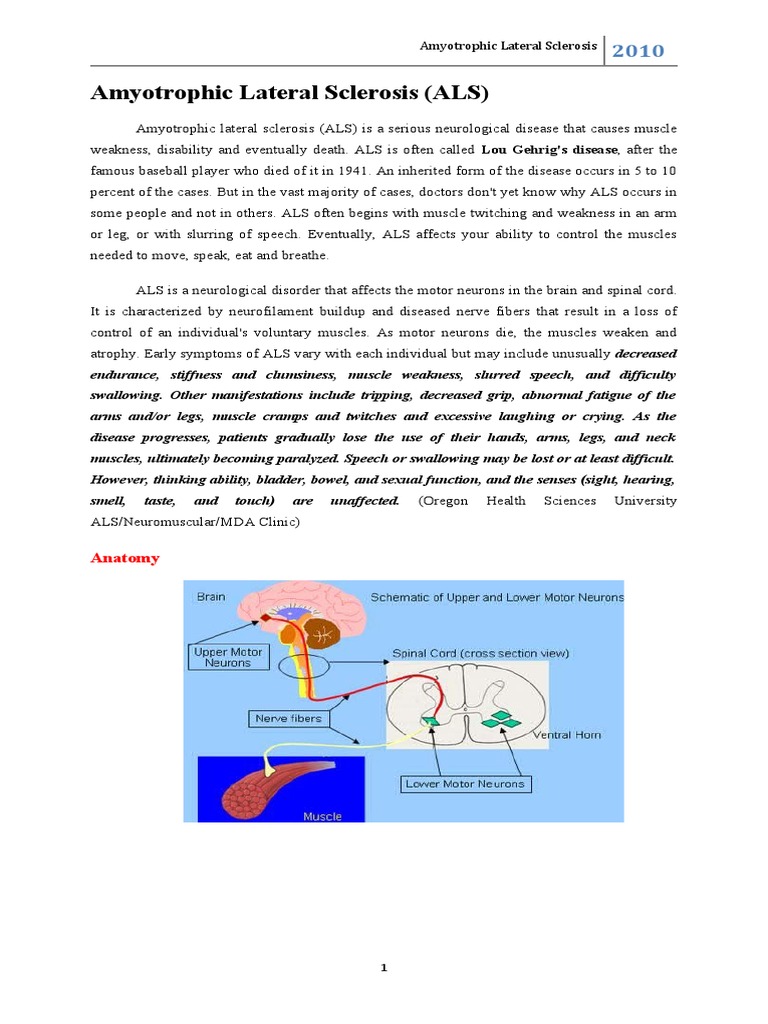 Amyotrophic Lateral Sclerosis | PDF | Amyotrophic Lateral Sclerosis ...