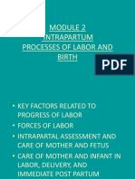 Intrapartum Processes of Labor and Birth