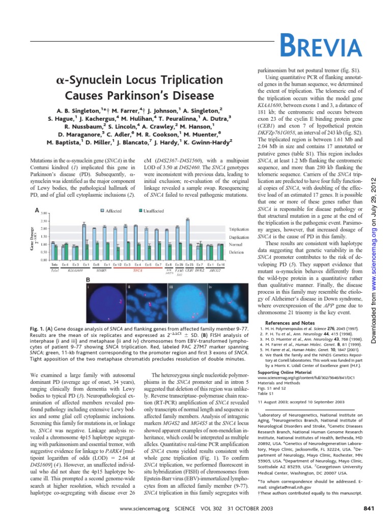 Alpha-Synuclein Locus Triplication Causes Parkinson's DiseaseSingleton ...