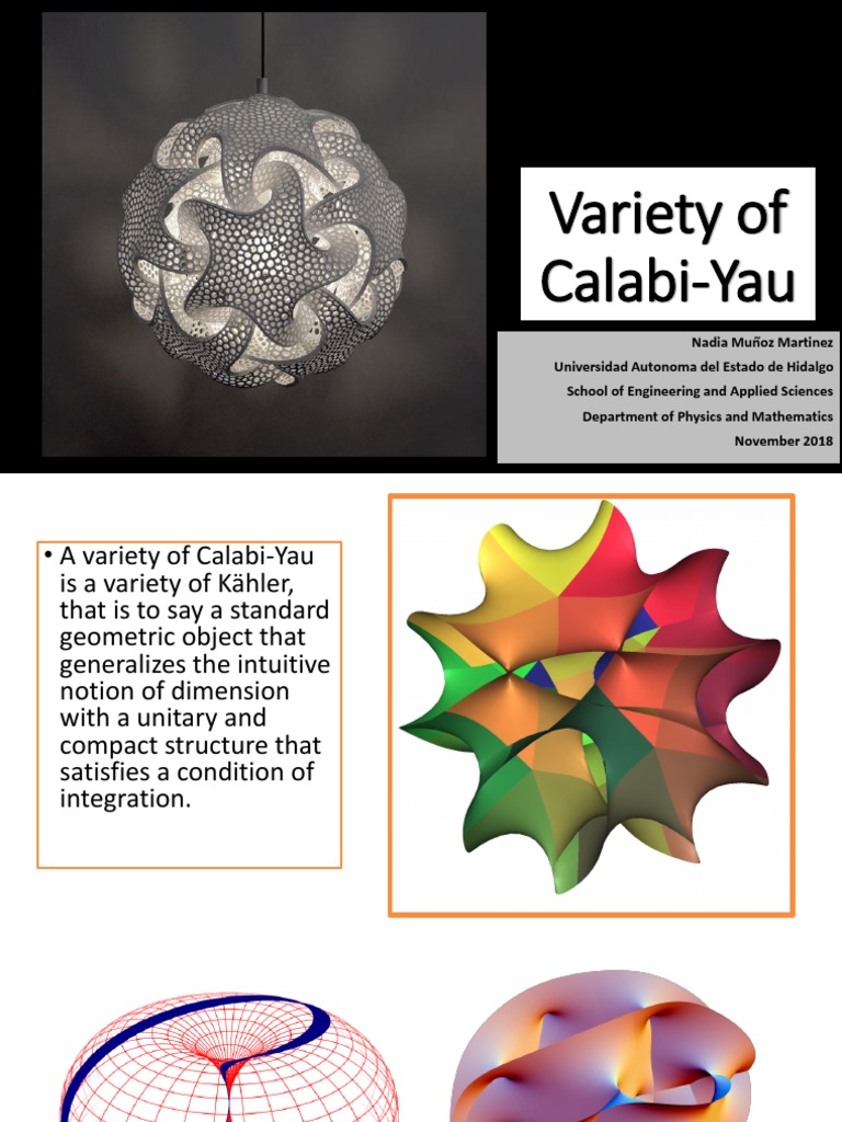 Understanding Calabi-Yau Varieties | PDF