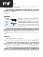 No Que Posso Aplicar Reiki