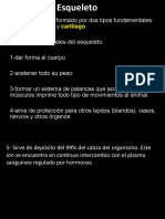 Clase 5 y 6 - Introd Esqueleto y Cráneo I-II 2017