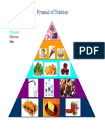 Pyramid of Nutrition