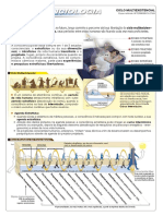 Conscienciologia Ciclo Multiexistencial PDF High Quality