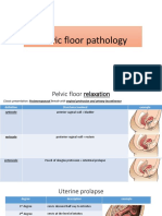 Pelvic Floor and Ovarian Tumors
