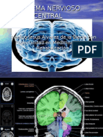 Sistema Nervioso Central y Periferico