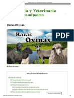 ? Razas Ovinas y Sus Características Físicas y Productivas ???