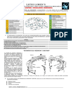 8° Funciones Cerebrales-Areas de Brodman