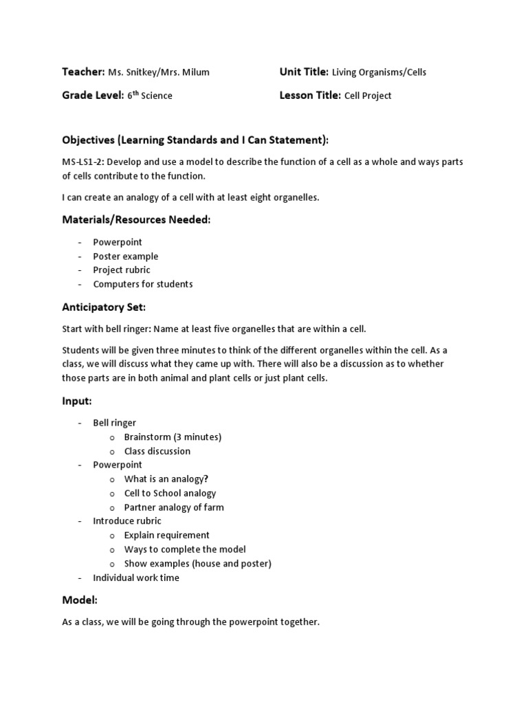 Cell Project Analogy Cell Biology