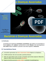 Aula bactérias e doenças associadas.pdf