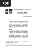 04 Presos Estrangeiros No Brasil e o Problema Da Seletividade Penal