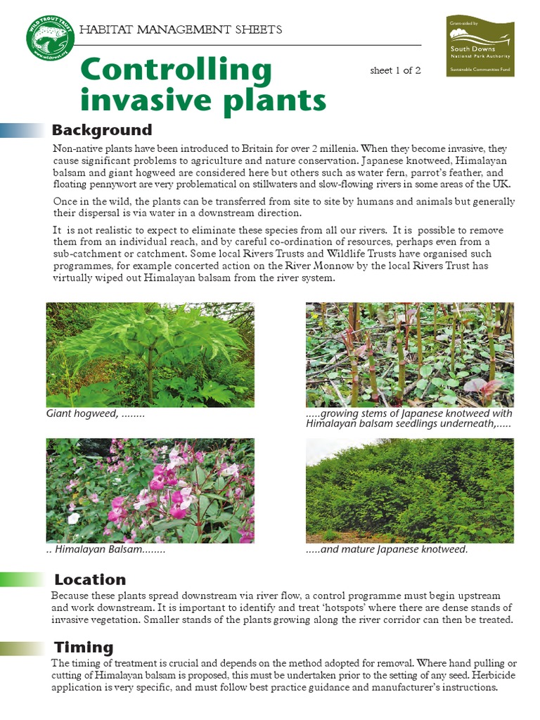 Invasive Plant Control Methods Guide | PDF | Invasive Species | Herbicide