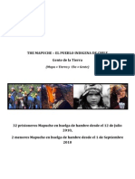 Dossier 'La Huelga de Hambre Mapuche'