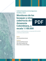 Monitoreo Bosques Amazonia 2012-2014 PDF
