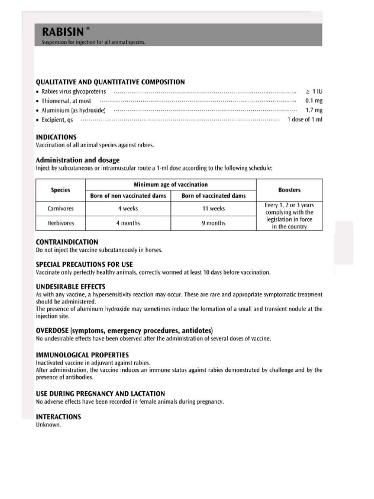 RABISIN | PDF