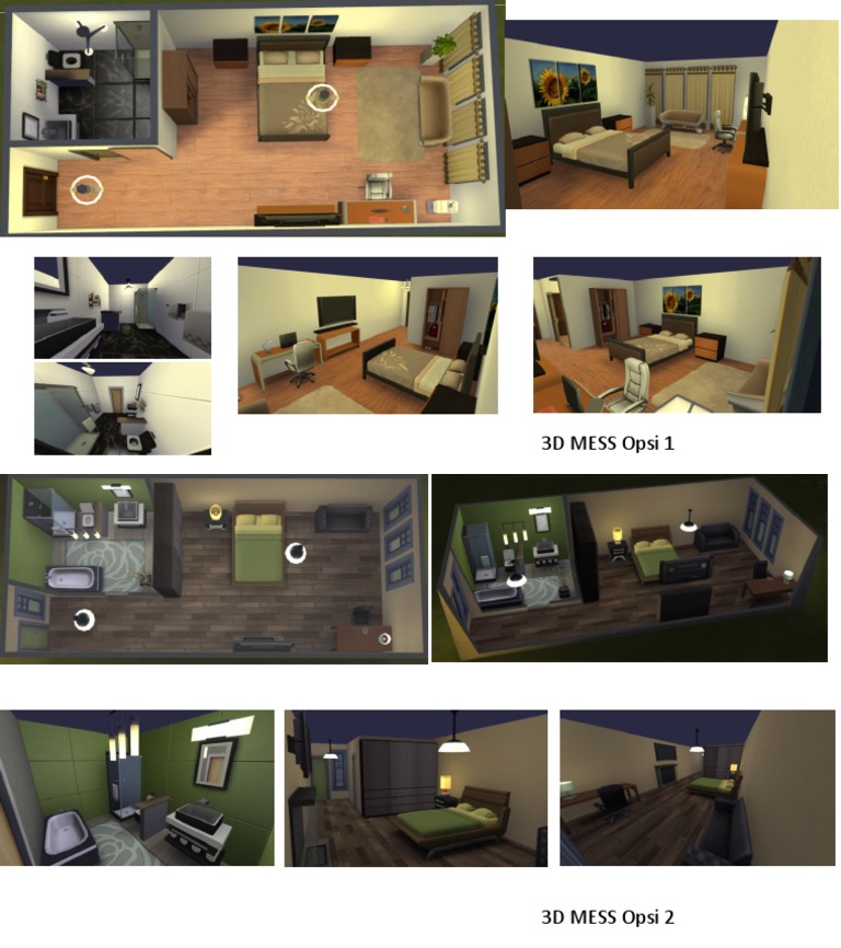 3D MESS Options Overview | PDF