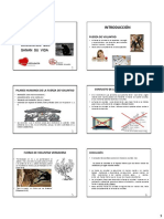 Ocho Decisiones Que Sanan Tu Vida Version 2015 Compendio