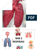 BAB 2 Sistem Respirasi Manusia