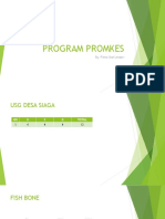 PROGRAM PROMKES.pptx