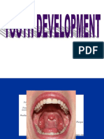 1 Tooth Development
