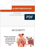 ISPA (INFEKSI SALURAN PERNAPASAN AKUT) KKN