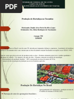 Produção Hortaliças