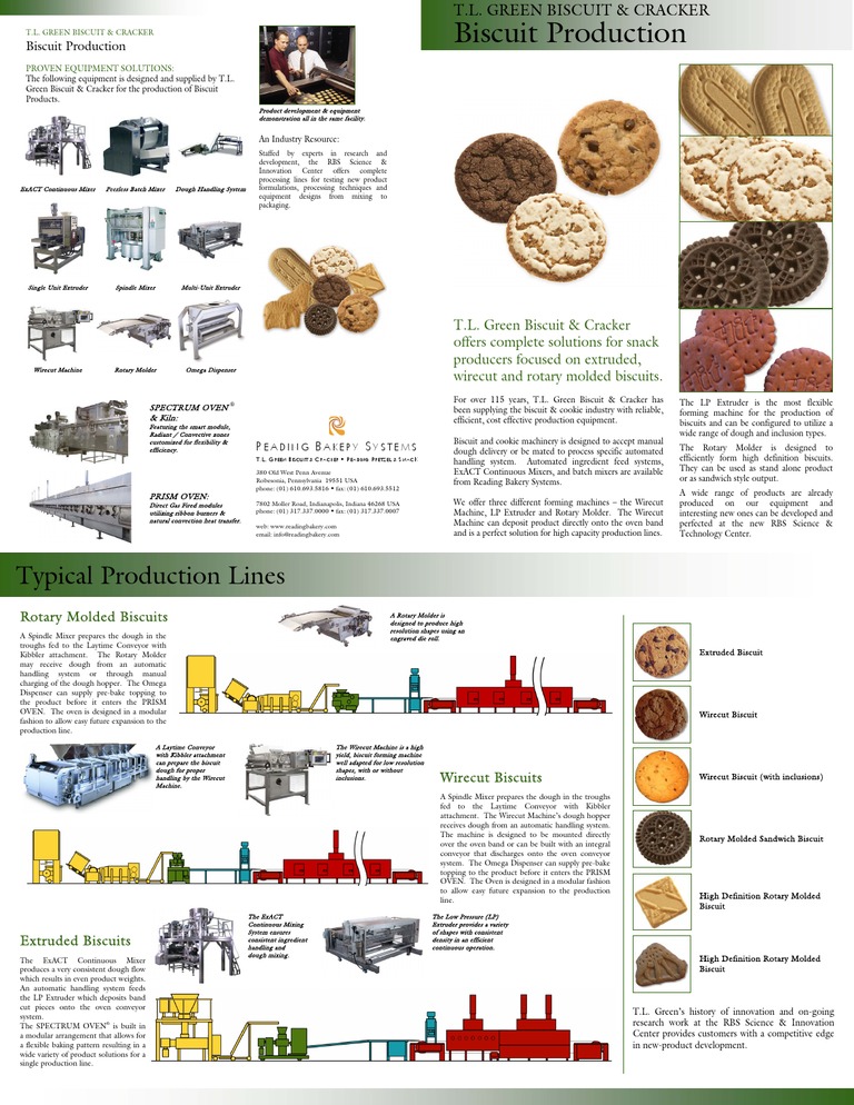 Biscuit Production Technology Nature