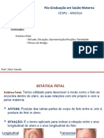 ESTATICA FETAL VV.pdf